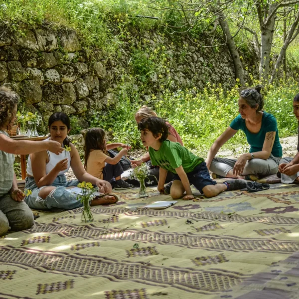 שקיעות קיץ עין יעל DSC_1631